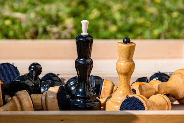 但麦卡利斯 但麦卡利斯