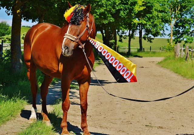 反击仍然有 反击仍然有